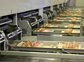 Food Processing Controls
